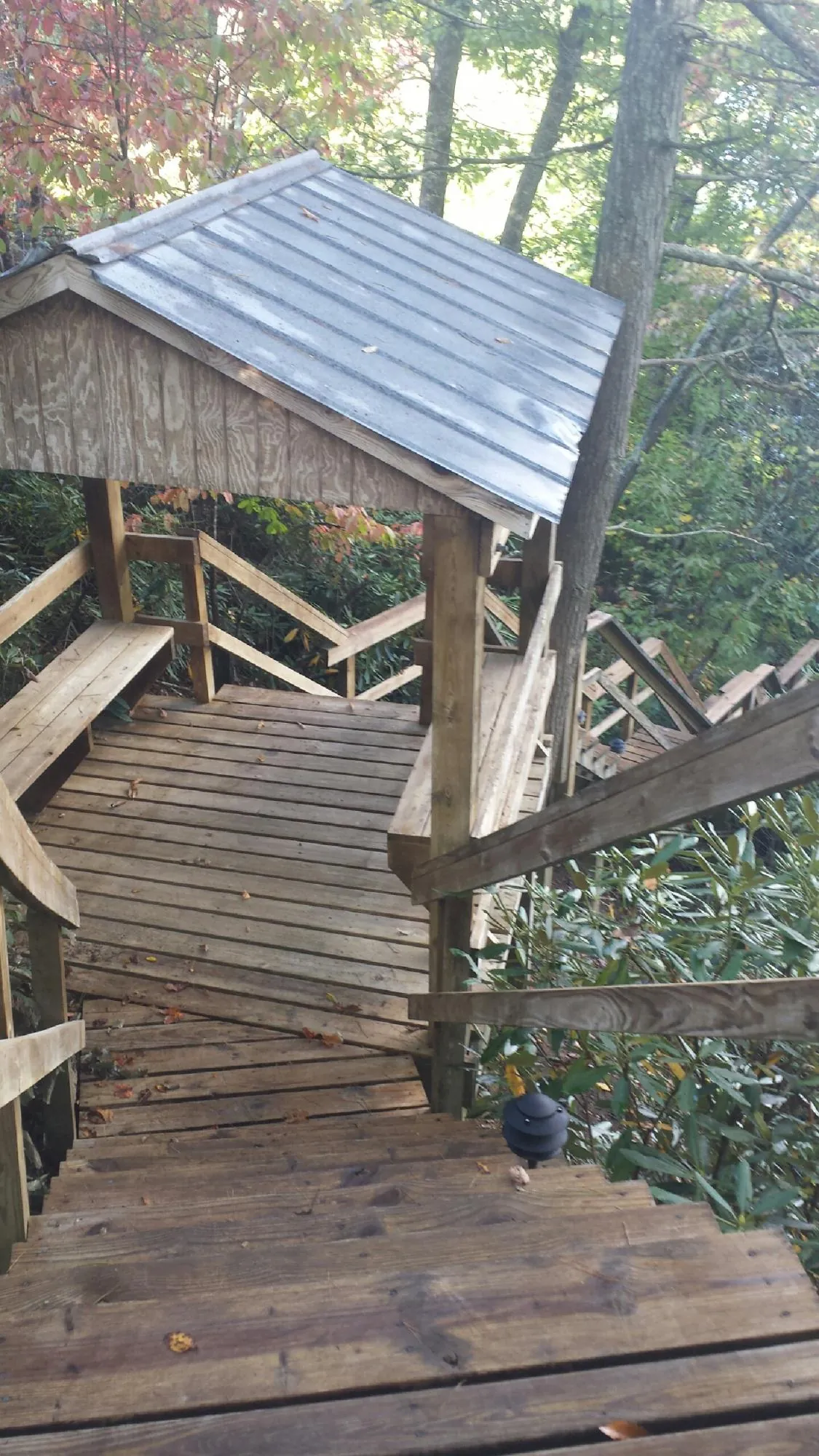 Metal roofed shelter over wooden steps on a wooded walkway — Skylight Repair & Installation work by our crew in Murdock